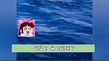 这也太漂亮了吧！