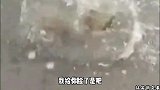 这手机厉害了，还能量体温呢
