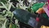 这手法真的很赞哦！你们觉得呢