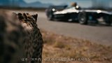 猎豹和F1赛车比赛，一开始F1紧追不舍，你猜最后谁赢了