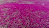 看过这些地方，你会感叹
