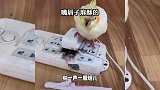 爆笑时刻啪一声，我嘴唇子就麻了，到底发生了什么