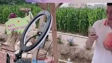 优质农产品乡村振兴，青春建功
