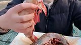 农村吃货姐生呛大虾，太馋人了