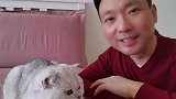 康辉首曝家庭内景 评论区却留下嘲讽
