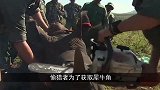 犀牛角被割，人们为它装上3D仿生犀牛角，犀牛的举动让人欣慰！