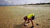 海边发现装死河豚，果断放生大海，大家看看这河豚是海里的吗