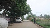 刚出生的小奶猫被抛弃在路边，其中一只已经奄奄一息