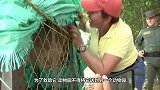 雄狮和男子久别重逢，当男子张开怀抱，狮子的反应让人感动