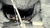 《森林》洞穴里发现神秘天坑