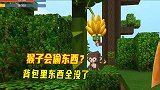 迷你世界雨林生存2：雨林里有小偷？它就是猴子，背包东西全没了