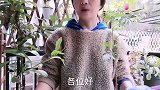 万物皆可棒棒糖，喜欢养花一定要做一个蓝雪花棒棒糖