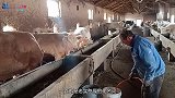 刚过完年，农村就出现一种怪像，很多农民工纷纷返乡，什么原因