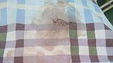 陕西一小学男生遭遇校园霸凌 家长发现其宿舍被褥有大片血迹