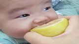 宝宝第一次吃柠檬，这“酸爽”难以置信，原谅我笑出了声！