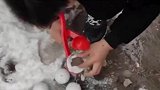 雪球包石头，这多少带点私人恩怨吧