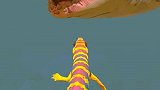海蜥蜴进化千年鲨鱼