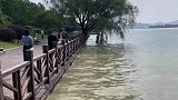 男子在景区游玩时遇大鱼跳龙门，居然兴奋到语无伦次!