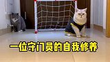 一位专业守门员的自我修养