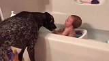 小主人在泡澡，狗狗在旁边，俩人四目相对