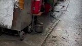 请尊重一下我的职业