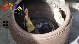 炭烤土鸡：土鸡放进瓦缸里烤熟，真是美味