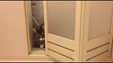 主人在浴室泡澡猫咪非要进来，猫这也是朕的江山