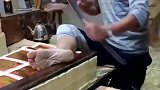 工人手脚并用的操作手法，真是让人大开眼界啊
