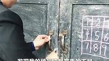 我要进城了，你们在哪里