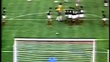 巴甲-巴西桑巴足球的伟大传人 白贝利济科生涯最佳球-专题