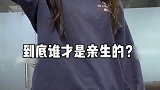 这是不是不让你养猫的父母？猫 萌宠 萌宠新春出道 2021新春日记 花式拜年大赛 带猫回家过年