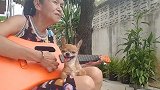 一开口就被惊艳！70岁泰国老奶奶吉他弹唱 一旁的狗狗满脸治愈