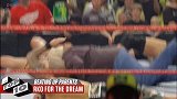 WWE-17年-十大连累父母 HHH悔婚大公主 名门攻击老麦-专题