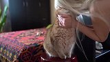 狂吸一只乖猫，会发生什么
