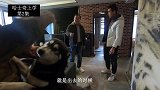 是遇到猴子了吗