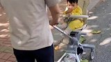 男子趁买水时间送老婆一束金色玫瑰