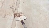 女子亲家为了给女子接亲，老公公亲自上阵修路