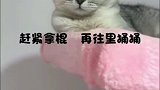 你们遇到此事会咋办