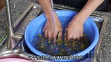 北海经典美食，车螺煲榄钱，吃了二十多年都不腻，还是儿时的味道