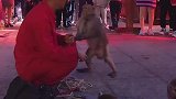 再骂我傻试试。