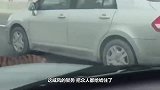 高速路上惊现老虎，主人赶紧追上去：别闹，赶紧回家