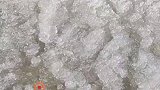 大雪之后降温，海滩上出现冰沙！