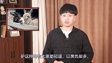 唐代为何以骑驴为风尚？原来有这条规定，让它成了唐朝最忙的动物