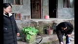 四川方言剧：小伙喝醉睡猪圈，老婆让跪搓衣板，保证书写的太好笑