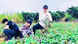 孙俪在社交平台分享了他们一家四口，一起在地里面挖红薯的照片