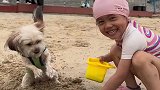 狗子在沙滩上彻底放飞了