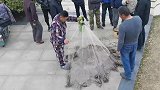 想学撒网的朋友来来来，各种撒网技术展示，总有一款适合你