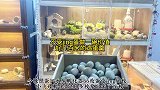 放进孵化器5天的蛋还可以吃吗？