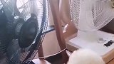 这只泰迪太厉害了，热了自己开风扇，这智商真是太高了
