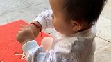 这个苍蝇帮你带了一天的孩子！